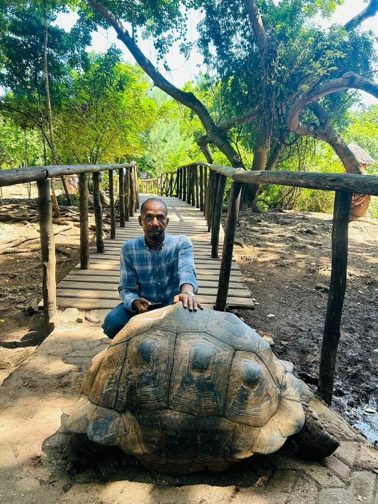 zanzibar island